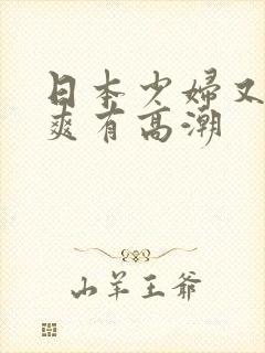 日本少妇又色又爽有高潮