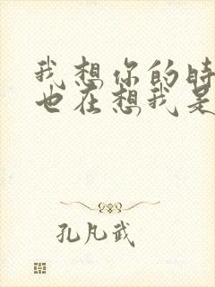 我想你的时候你也在想我是什么歌