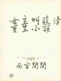 女主叫苏清婉的重生小说