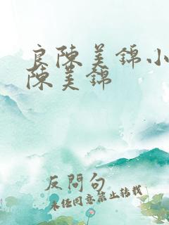 良陈美锦小说良陈美锦