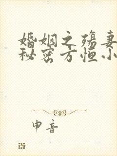 婚姻之殇妻子的秘密方恒小说在线阅读