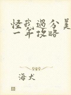 怪我过分美丽第一年攻略