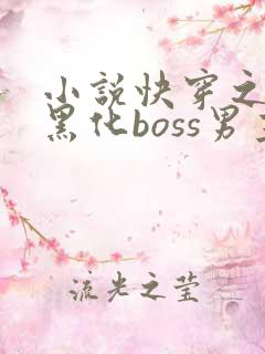 小说快穿之拯救黑化boss男主阅读