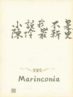 小说我不是戏神陈伶最新更新