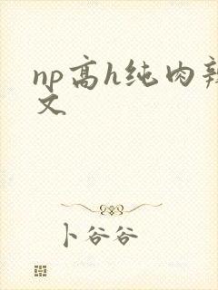 np高h纯肉辣文