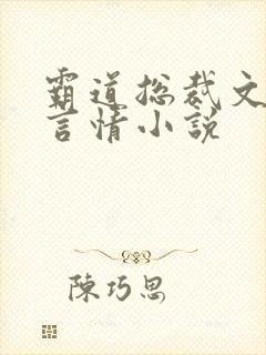 霸道总裁文现代言情小说