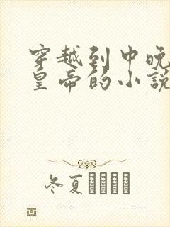 穿越到中晚唐当皇帝的小说