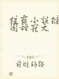 校霸小说推荐校园甜宠文