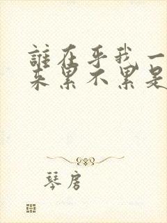 谁在乎我一路走来累不累是什么歌