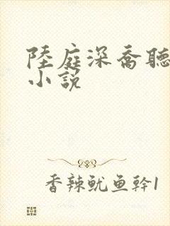 陆庭深乔听雨的小说