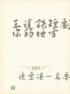 王道铁短剧去有你的地方