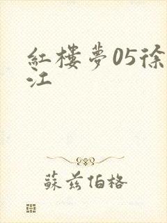 红楼梦05徐锦江