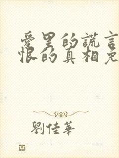 爱里的谎言,仇恨的真相免费观看全集