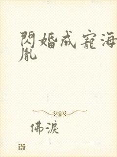 闪婚成宠海彤战胤