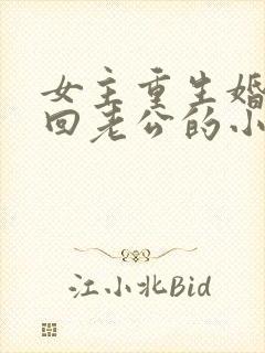 女主重生婚内挽回老公的小说