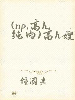 (np,高h,纯肉)高h嫂子