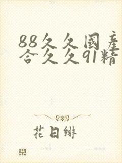 88久久国产综合久久91精品