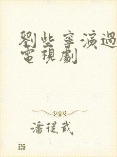 刘些宁演过哪些电视剧