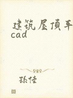 建筑屋顶平面图cad