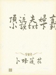 顶流夫妇有点甜小说txt下载