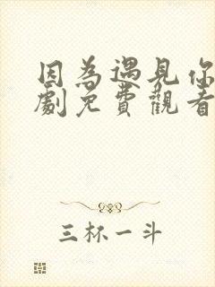 因为遇见你电视剧免费观看