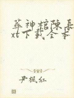 葬神棺陈长安txt下载全本