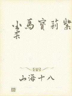 小马宝莉紫悦柔柔