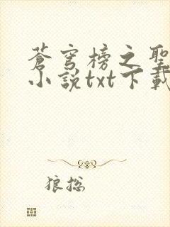 苍穹榜之圣灵纪小说txt下载