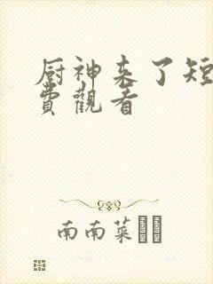 厨神来了短剧免费观看