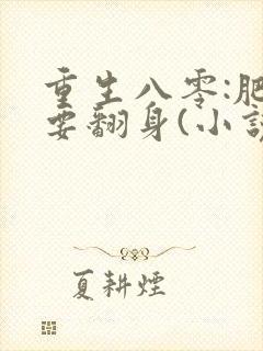 重生八零:肥妻要翻身(小说)