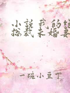 小说 我的绝色总裁未婚妻
