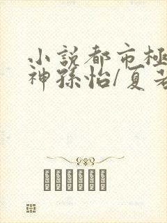 小说都市极品医神孙怡/夏若雪免费看