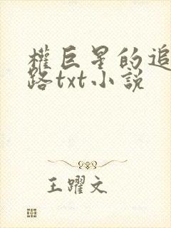 权巨星的追妻之路txt小说