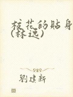 校花的贴身高手(林逸)