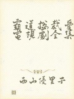 霸道总裁爱上我电视剧全集免费观看