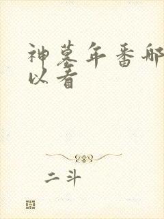 神墓年番哪里可以看