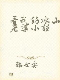 看我的冰山总裁老婆小说