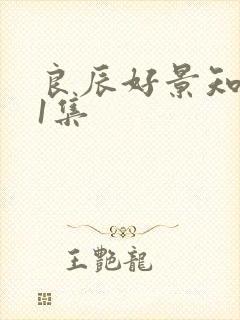 良辰好景知几何1集