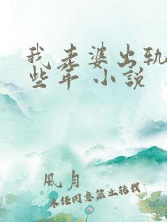 我老婆出轨的那些年 小说