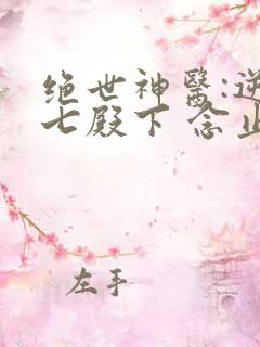 绝世神医:逆天七殿下 念止息