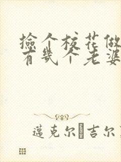 捡个校花做老婆有几个老婆