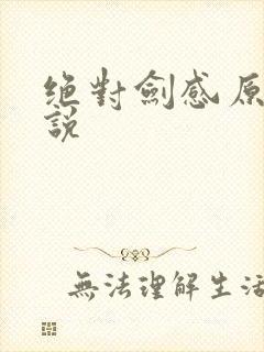 绝对剑感原著小说