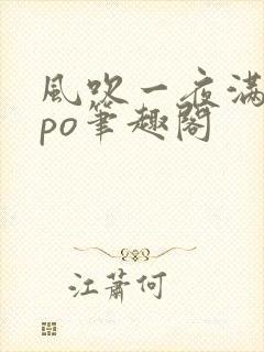 风吹一夜满关山po笔趣阁