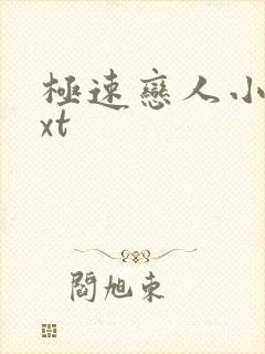 极速恋人小说txt