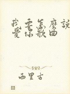 我要怎么说我不爱你歌曲