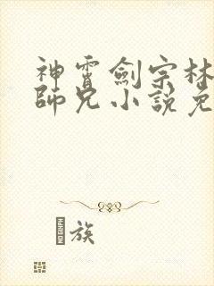 神霄剑宗林枫大师兄小说免费阅读