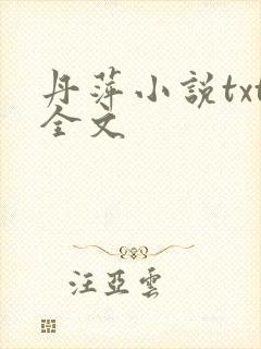 丹萍小说txt全文