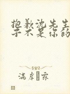 抱歉沈先生,孩子不是你的短剧观看全