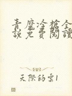 青魔冷枪全部小说免费阅读
