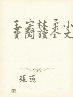 王宇林柔小说免费阅读全文最新章节